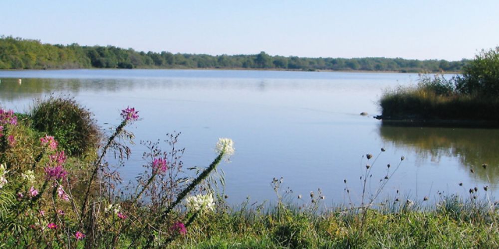 Week-end grandeur nature dans l'Indre